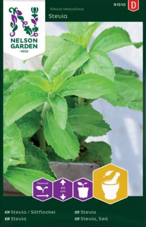 stflockel-stevia-1
