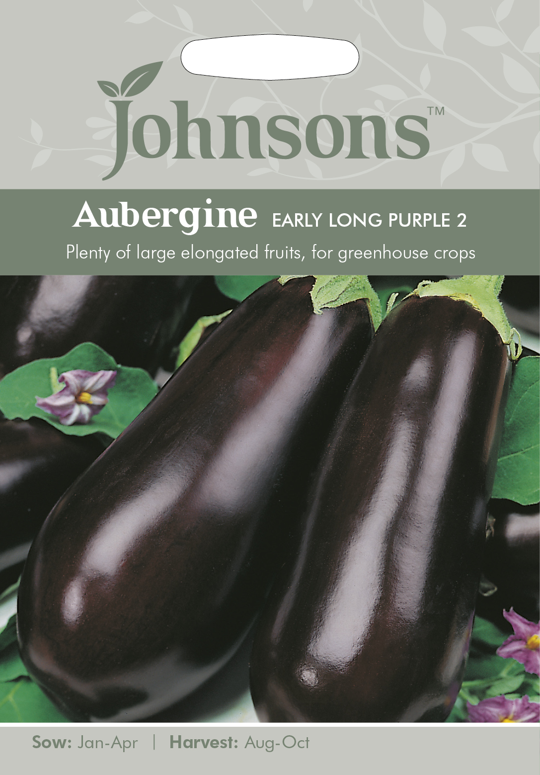 Aubergine ’Early Long Purple 2’