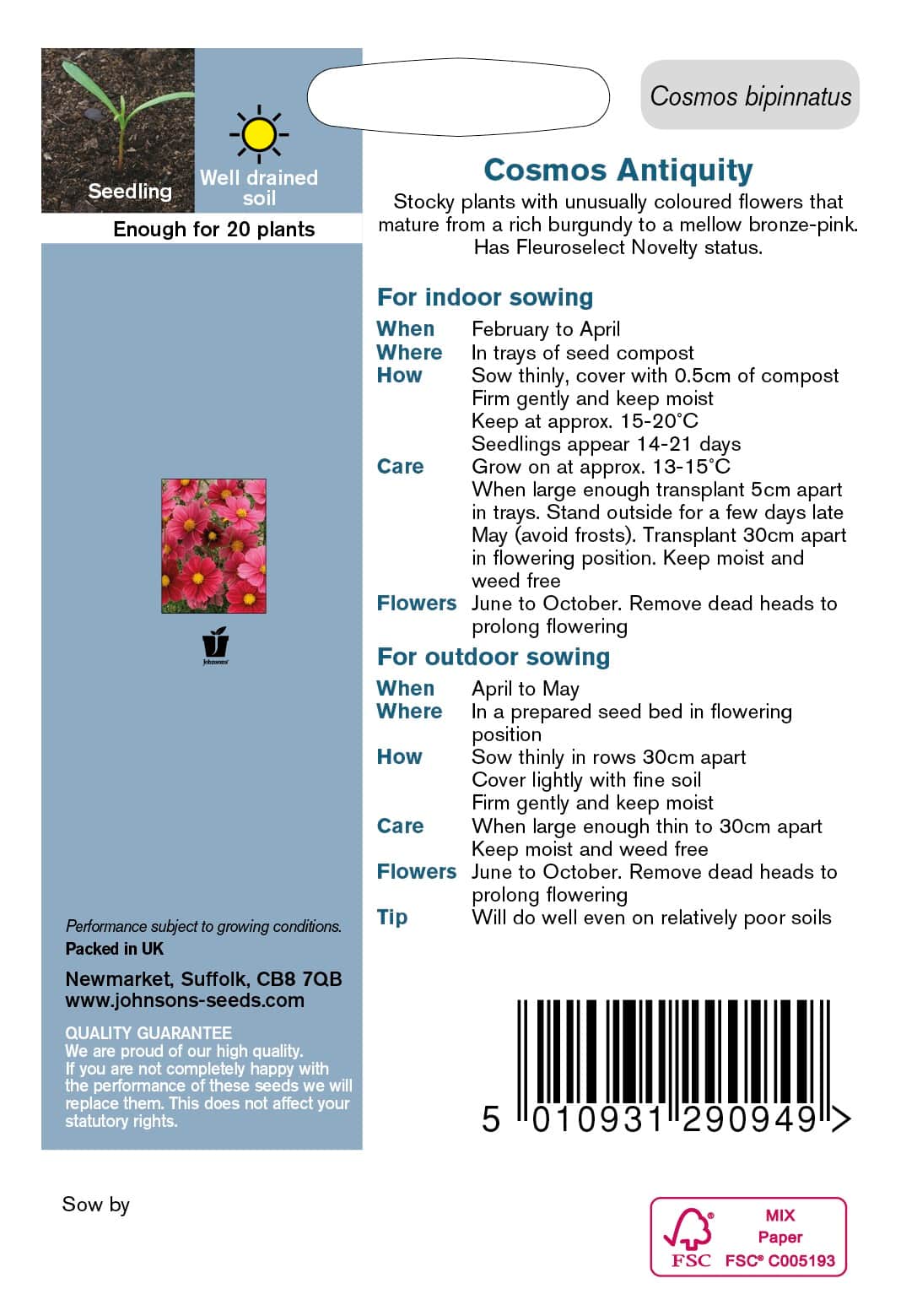 rosenskra-antiquity-2