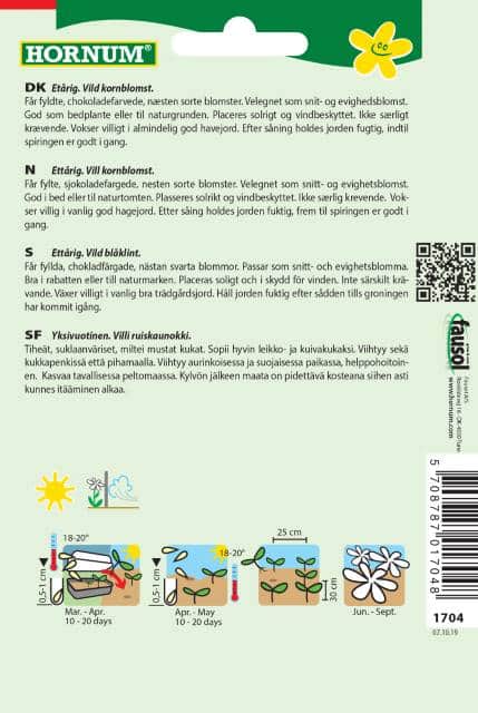 blklint-dark-beauty-2