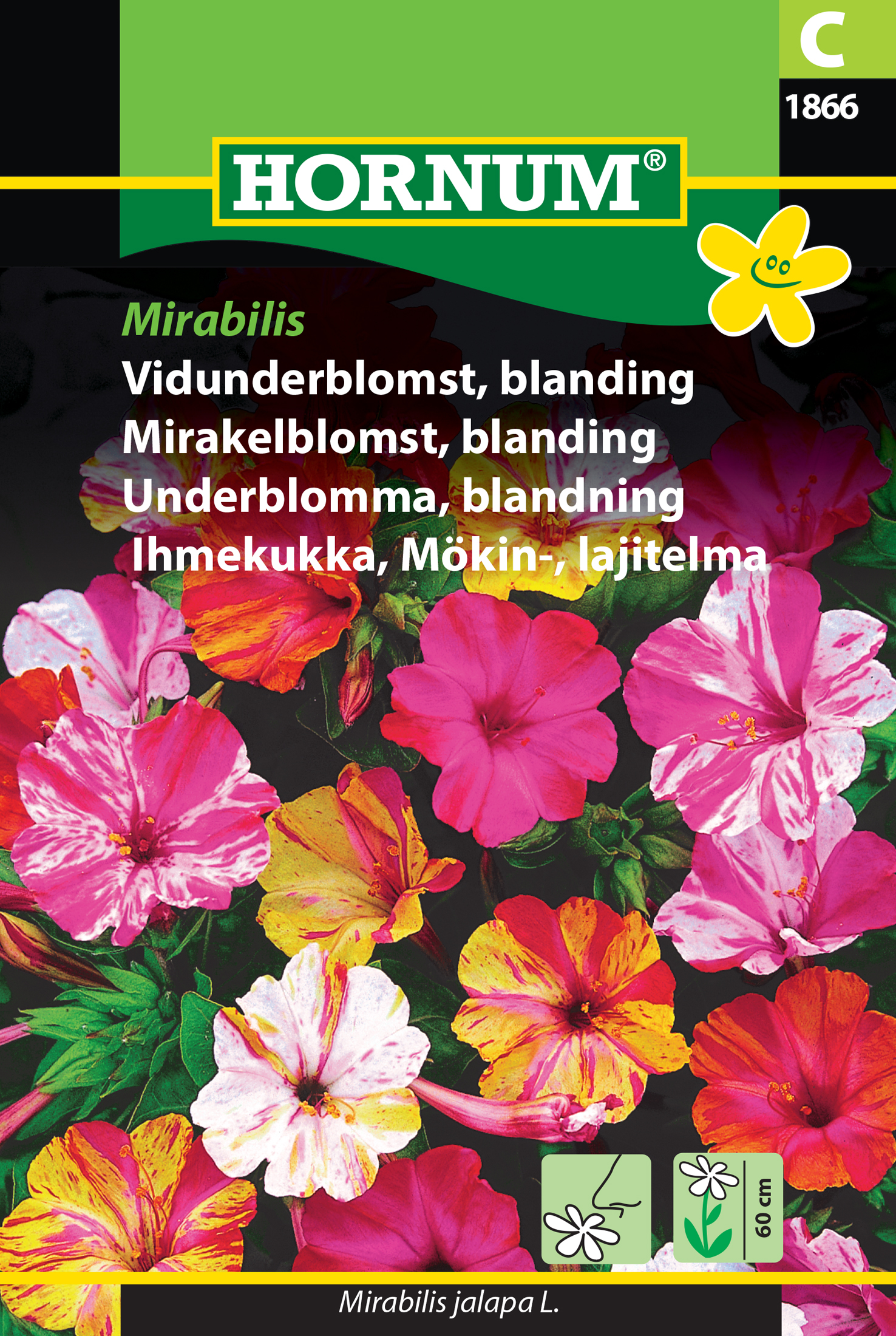 Underblomma Mix ’Mirabilis’ frö