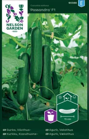 slanggurka-passandra-f1-1