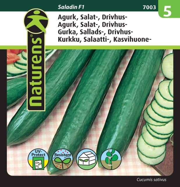 drivhusgurka-saladin-f1-fr-1