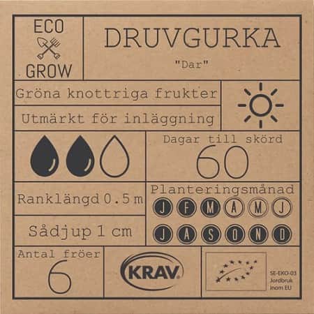 druvgurka-dar-krav-mrkt-2