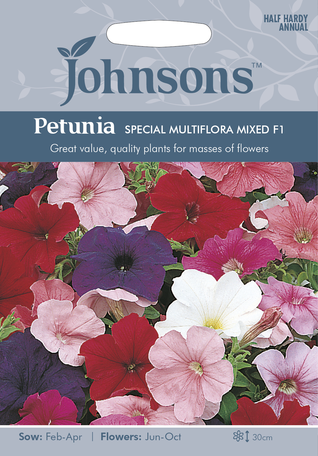 Petunia ’Special Multiflora’ F2 mix, frö