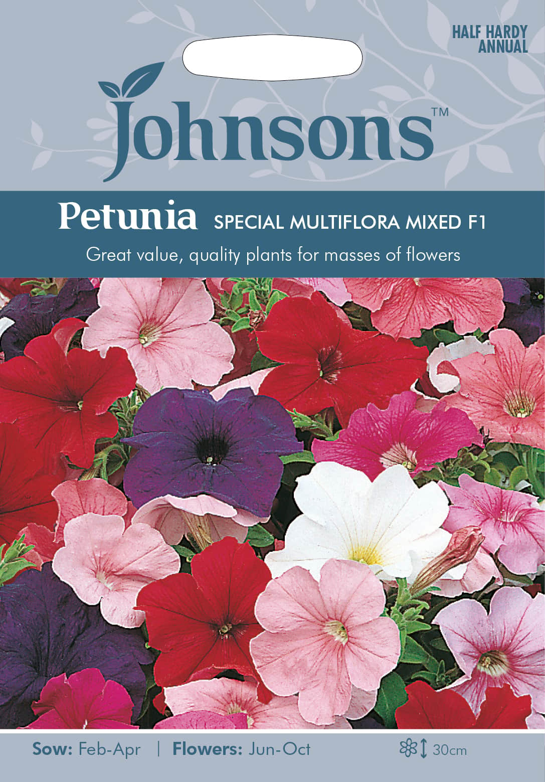 petunia-special-multiflora-f2-mix-fr-1