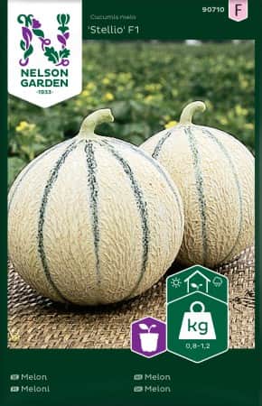 melon-stellio-f1-1