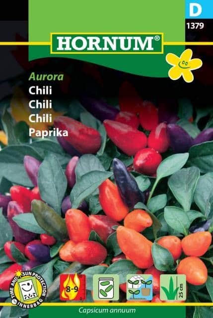 chili-aurora-1