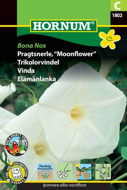 mnvinda-bona-nox-fr-1