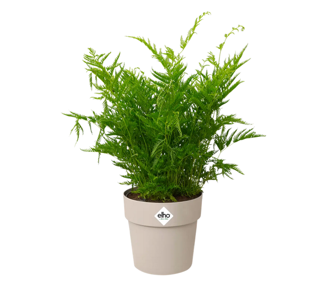 bfor-original-rund-ytterkruka-18cm-warm-grey-2