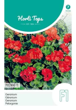pelargon-mustang-f1-1