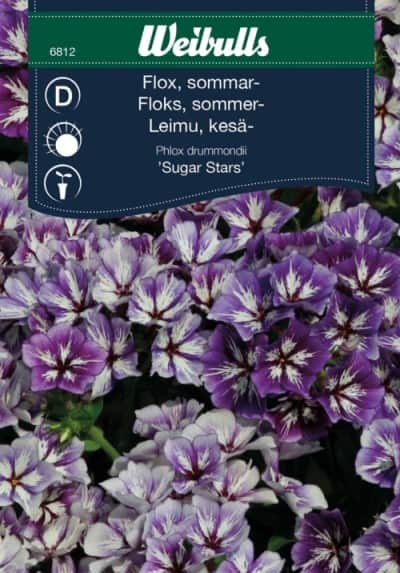 sommarflox-sugar-stars-1