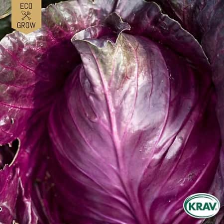 spetskl-kalibos-krav-mrkt-1