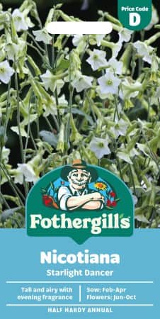 blomstertobak-starlight-dancer-1