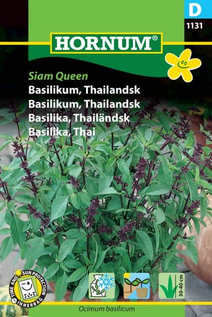 thailndsk-basilika-siam-queen-fr-1