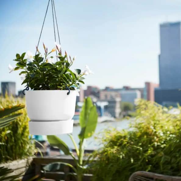 greenville-hanging-basket-24cm---white-2