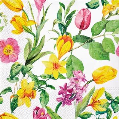 servett-crocus-1