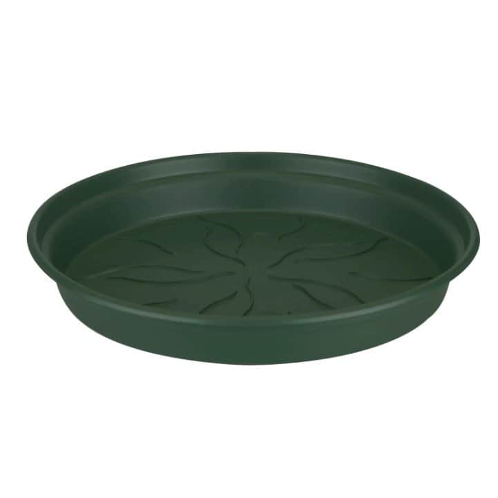 green-basics-fat-53cm---leaf-green-1