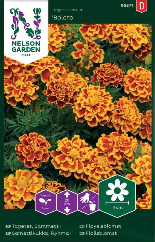 sammetstagetes-bolero-1