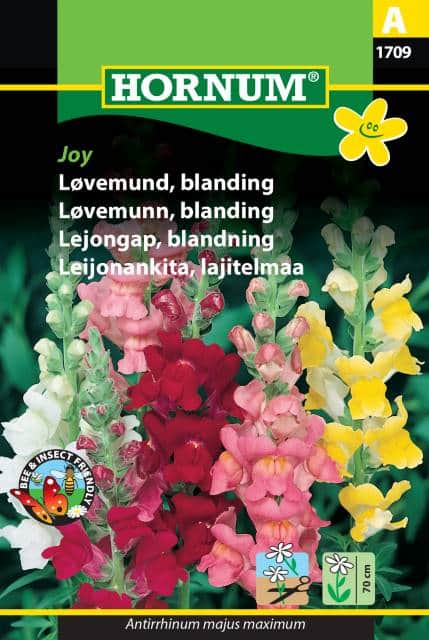 lejongap-mix-joy-1