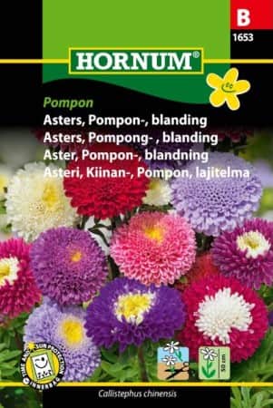pomponaster-mix-1